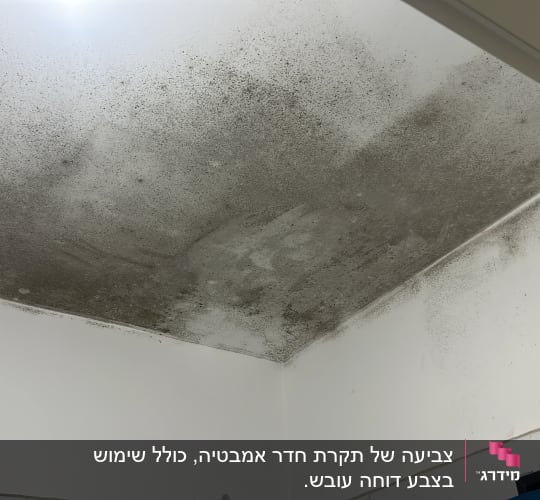 תקרה עם כתמי עובש כהים לפני צביעה